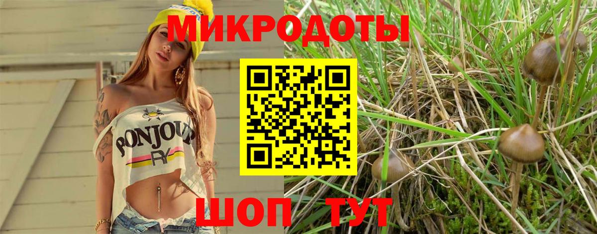 Галлюциногенные грибы Cubensis Мончегорск